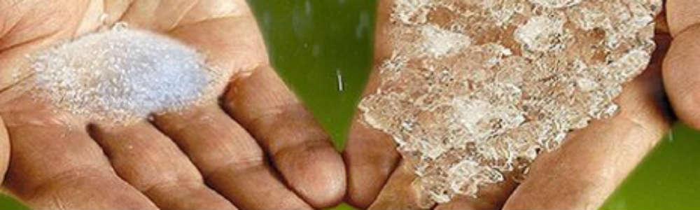 “Chuva Sólida” pode solucionar um dos maiores desafios agrícolas