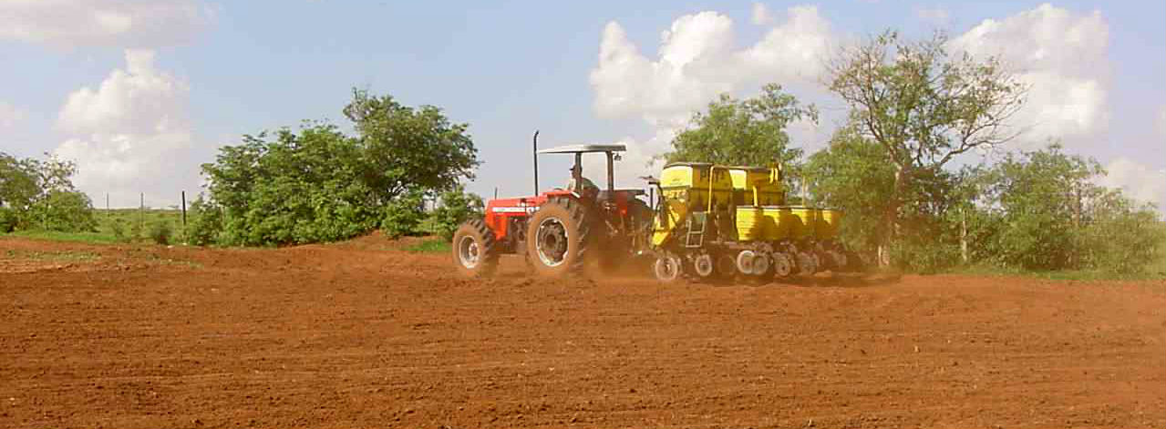 Cerca de 50% dos produtores da região retomam plantio da soja após chuva