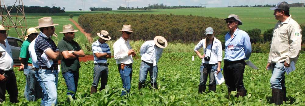 Coopermota participa de dia de campo sobre controle de erva daninha