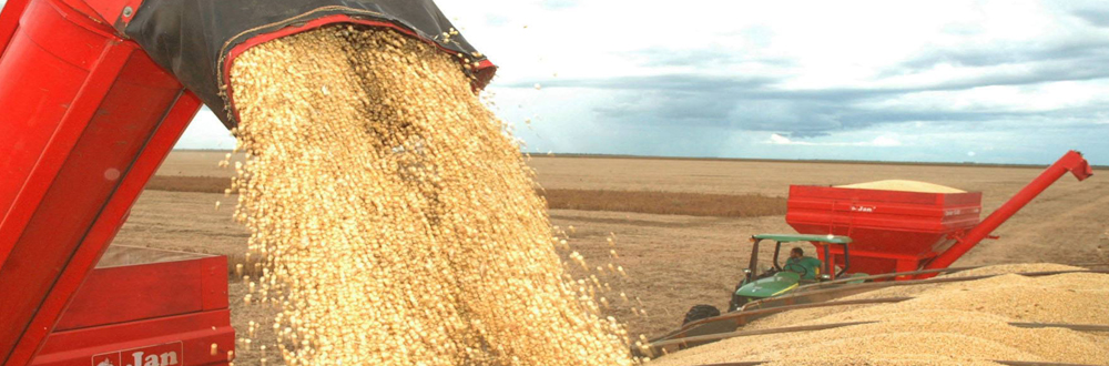 Crescem exportações do agronegócio no Estado de São Paulo
