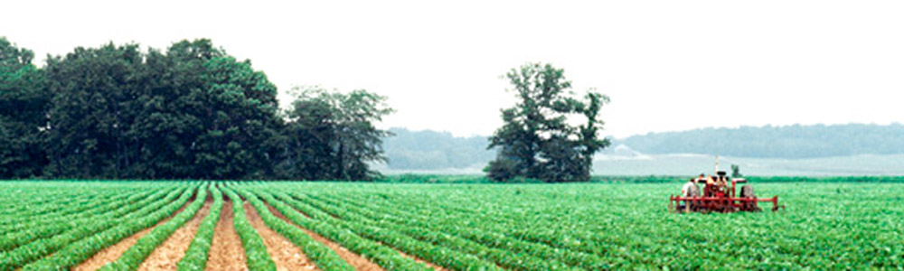 Fórum de Agronegócios reúne lideranças e debate o setor
