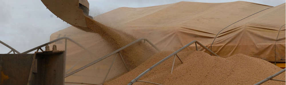 Safra nacional de grãos alcança 186,15 milhões/t e vira recorde, segundo a Conab