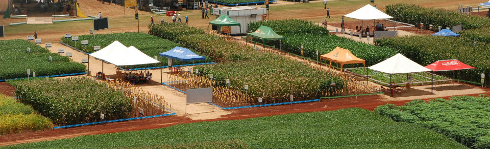 8ª Coopershow‏ contará com participação de órgãos estaduais e nacionais