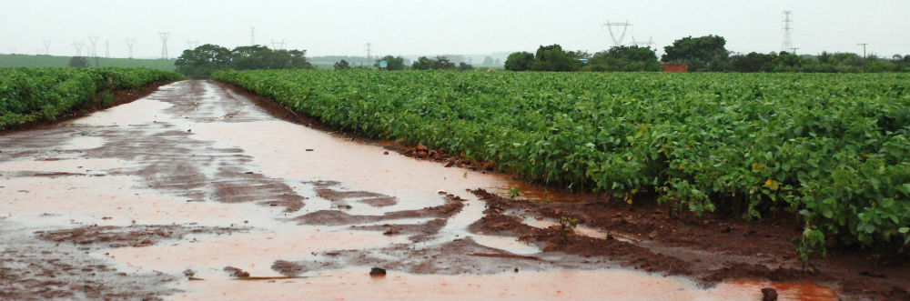 Acumulado dos últimos meses é 87,5% maior em Cândido Mota do que em Palmital