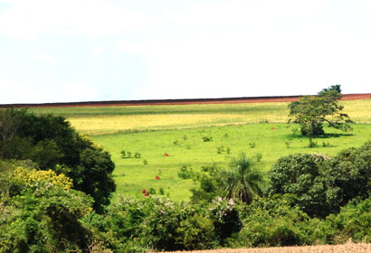 Coopermota adere a projeto de conscientização ambiental