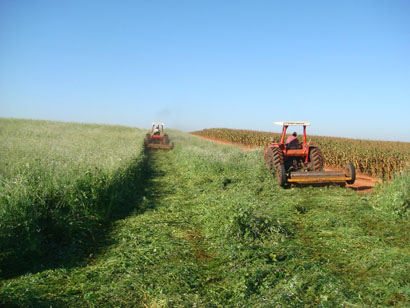 Coopermota incentiva adoção da adubação verde