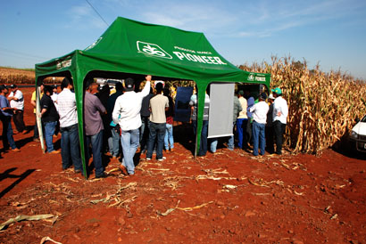 Dezenas de produtores participam de Dia de Campo, em Cândido Mota