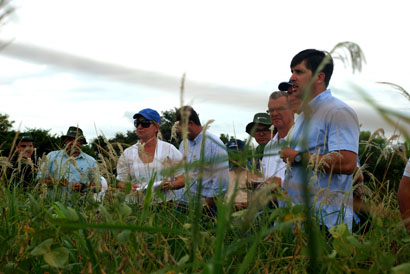 Dia de campo aborda controle químico do capim-amargoso