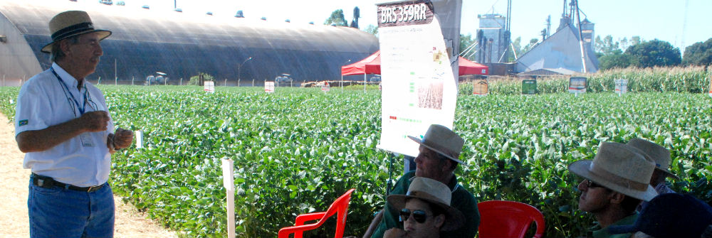 Embrapa lança oficialmente cultivar apresentada na 8ª Coopershow