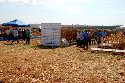 Mais de 200 participam de Dia de Campo em Palmital