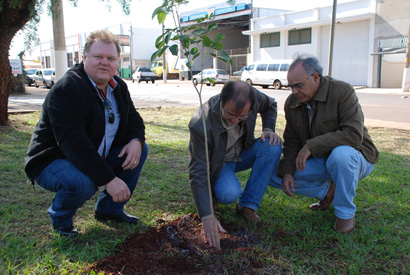 Mudas de Ipê são cultivadas em praça de Santa Cruz