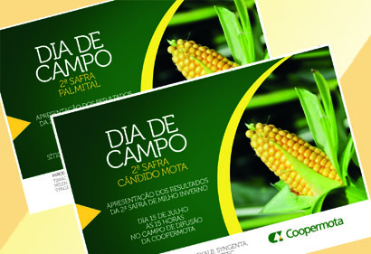 Principais dias de campo da Coopermota serão realizados nesta semana