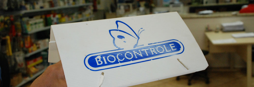 Quase 150 mariposas são coletadas na região para análise do Instituto Biológico