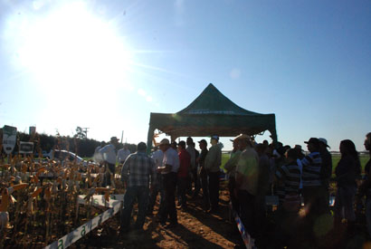 Sanidade, manejo e produtividade são temas de Dia de Campo no Campo de Difusão