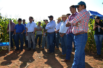 Dia de campo em Taciba reúne produtores da região de Prudente