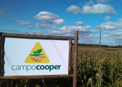Cultivares e insumos da cultura de inverno serão apresentados em diversos CampoCooper