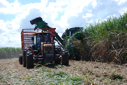 Produção de cana-de-açúcar pode chegar a 646 mi de ton