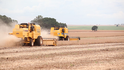 Produção de soja no Paraná vai diminuir 3% na safra 2017/2018