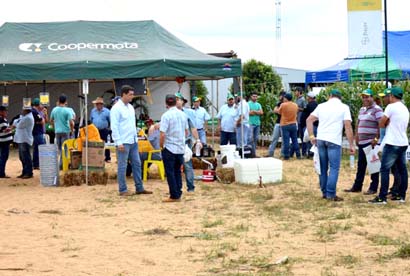Clima desfavorável evidencia perfil de materiais em Campos Novos