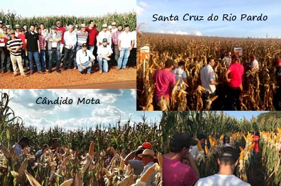 Finalização de safra é tema de demonstrações de campo