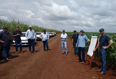 Técnicos da Coopermota participam de dia de campo