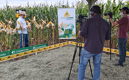 Coopermota fará dois eventos digitais para transmitir o Campo Cooper 2020