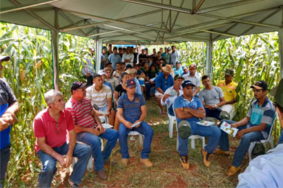 Escolha certa de materiais para silagem é tema de dia de campo em Euclides da Cunha