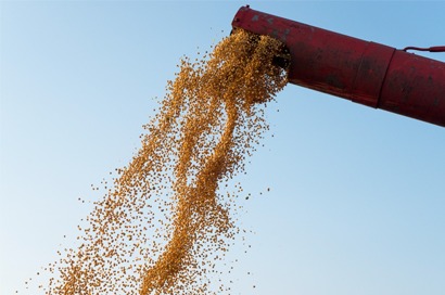 Produção agrícola x Novos custos em 2022