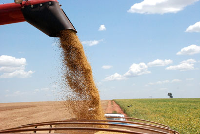 Produção de soja será ainda maior