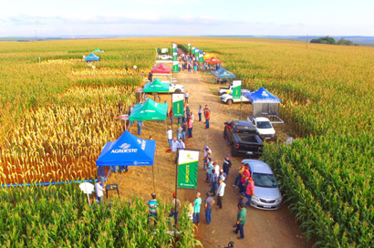 1º CampoCooper de Bandeirantes reúne centenas de produtores