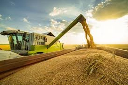 Coopermota divulga vagas para safristas
