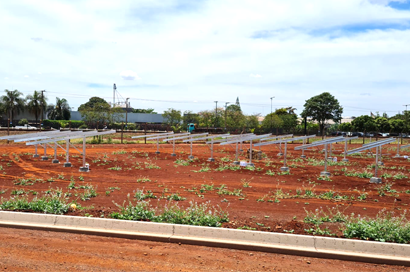 Coopershow terá 100% de energia fotovoltaica
