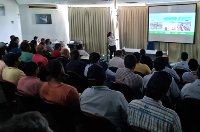 Cultura da mandioca é tema de dia de campo em Presidente Prudente