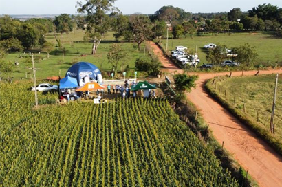 Dia de campo aborda a cultura do sorgo, em Paraguaçu