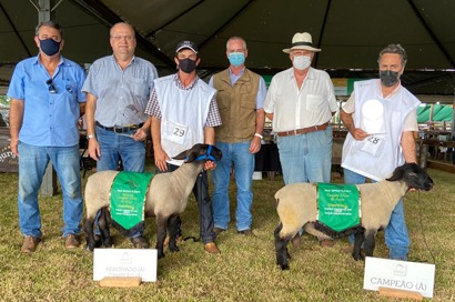 Nutrição animal Coopermota é destaque em competição realizada pela Aspaco