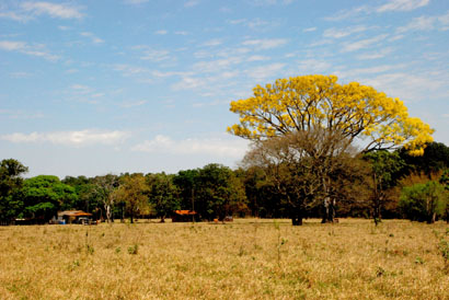 Secretaria de Agricultura faz ação conjunta do CAR, amanhã, na Coopermota