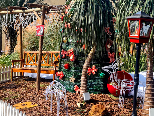 Decoração de luzes será acessa neste sábado