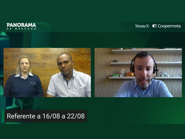Panorama de Mercado, altos estoques continuam influenciando nos preços dos grãos