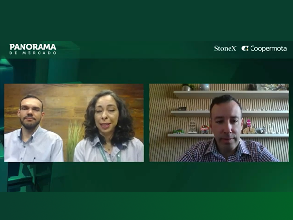 Veja no Panorama: Soja deve ter estoques com 25 milhões de sacas a mais que safra anterior