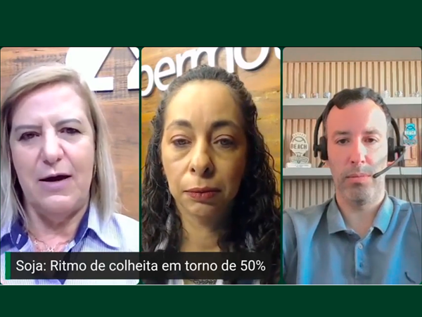 Aumento de área plantada de milho nos EUA será de 1,3 mi hectares