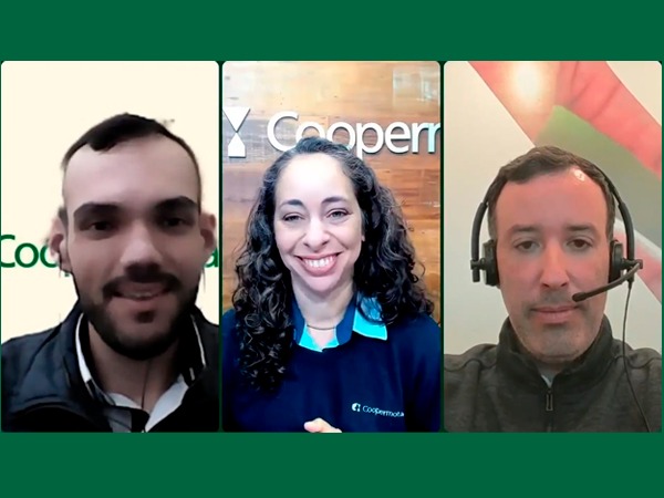 Mercado de soja e milho sentem impactos do contexto mundial