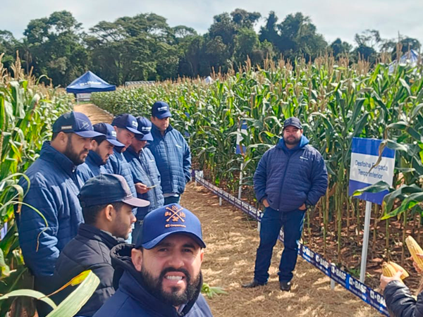 Consultores da Coopermota participam de evento sobre sorgo e milho