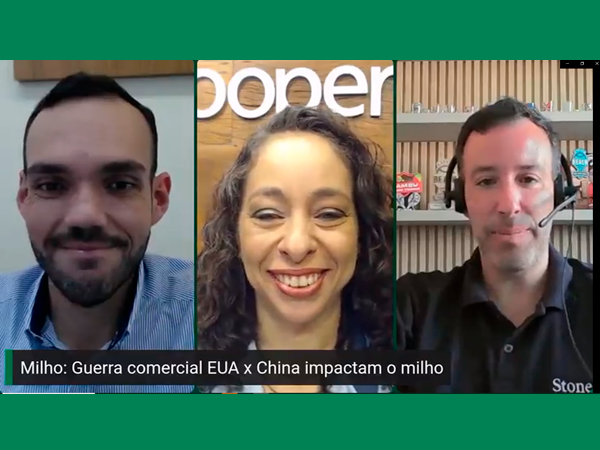 Brasil pode se beneficiar da guerra comercial entre EUA e China.