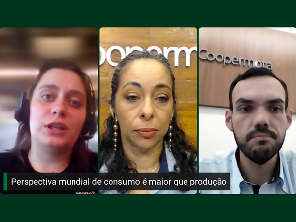 Momento é bom para o mercado de milho