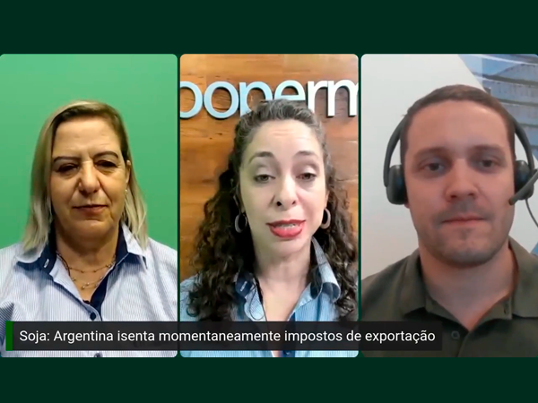 Mercado internacional e nacional estabilizados, sem perspectivas de altas.