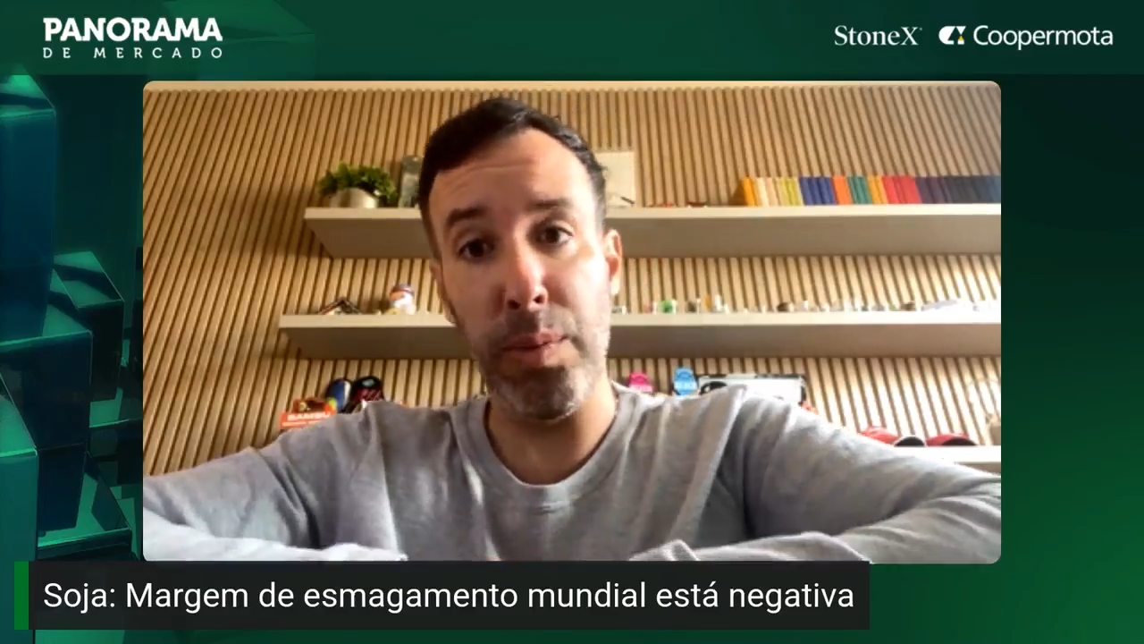 Safra do hemisfério norte impacta mercados brasileiros
