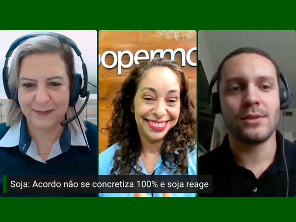 Acordo entre EUA e China não se concretiza 100% e soja reage