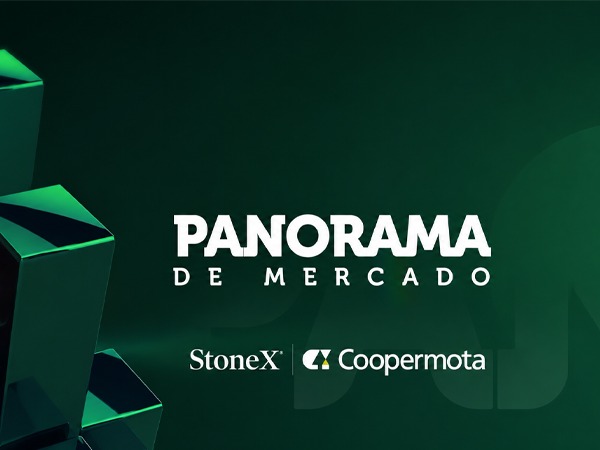 Panorama de Mercado analisa reação da soja ao clima nos EUA e cenário do milho no Brasil