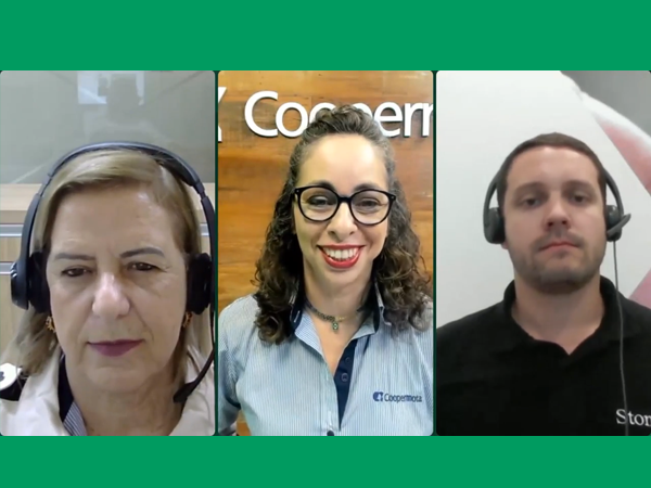 Plantio de soja nos Estados Unidos estão no radar do mercado