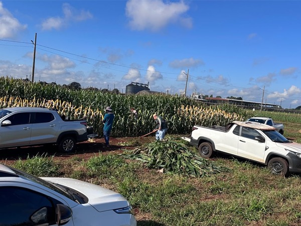 CampoCooper acontece amanhã em Cândido Mota com mais de 20 empresas